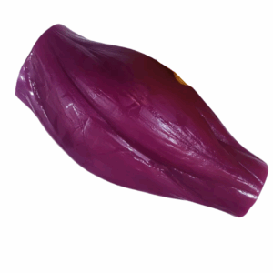 Réplica de músculo 1 libra